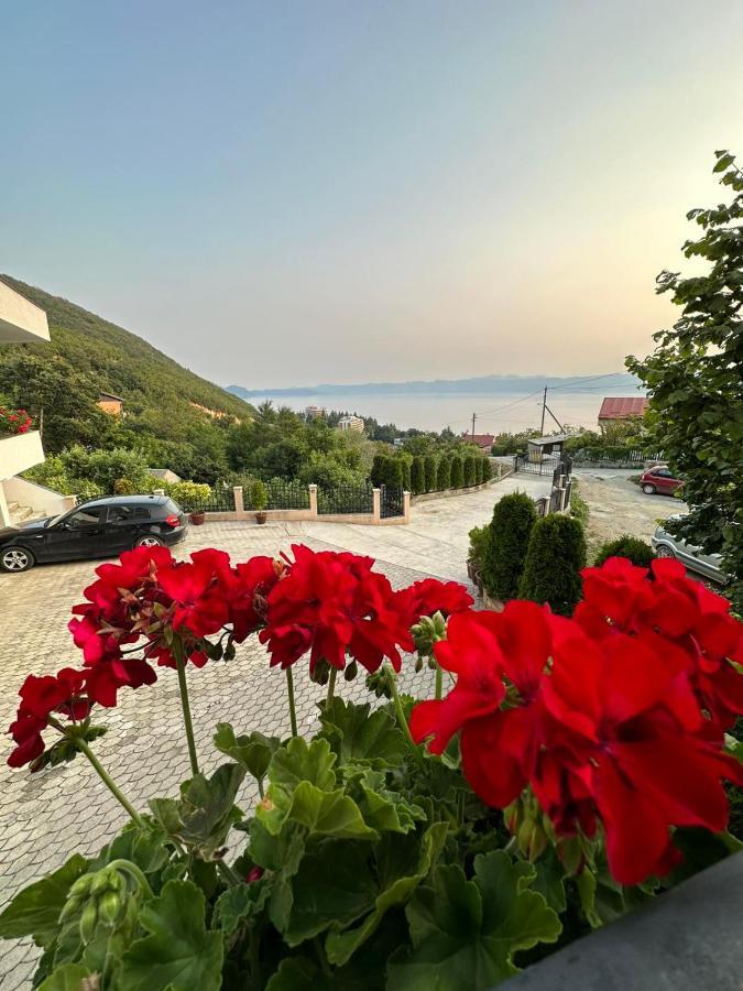 Villa Stefanoski Konjsko Exterior photo